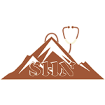 alt="Swiss Health Navigator"